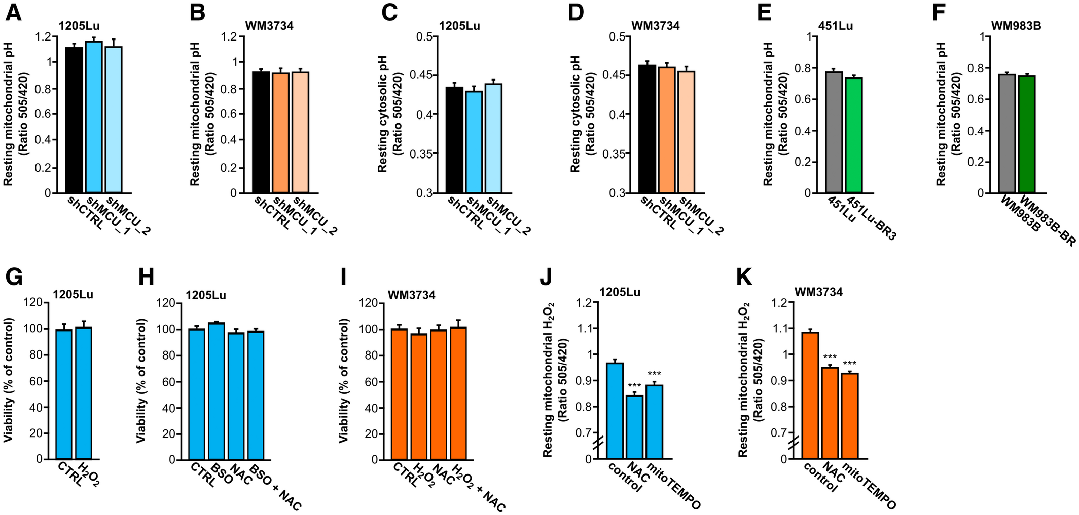 MCU controls melanoma progression through a redox‐controlled phenotype  switch